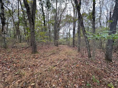 0 Sandy Plains Rd, East Bethlehem Township, PA 15322 - photo 7