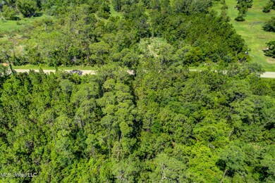 506 Ponce De Leon Blvd Lot 2 (5)