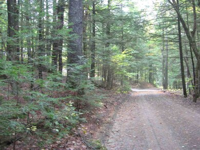 23 Wetherbee Rd, Lyman, NH 03585 - photo 5