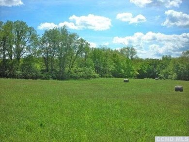 Secret meadow