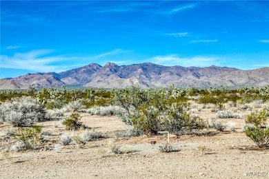 7190 E Red Barrel Rd, Yucca, AZ 86438 - photo 3