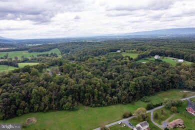 0 Lower River Rd unit VASH2000097, Toms Brook, VA 22660 - photo 4