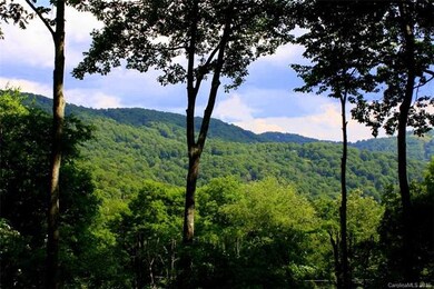 Lush Mountain Views