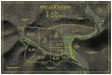 221 Pine Lick Estates Dr, Whitleyville, TN 38588 - photo 2