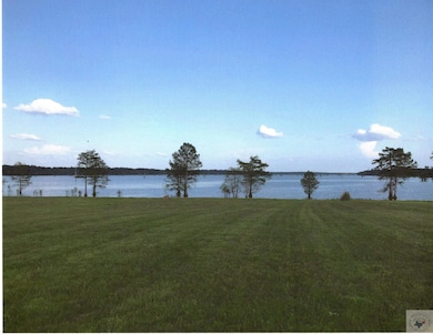 TBD Collier Rd, Lewisville, AR 71845 - photo 4