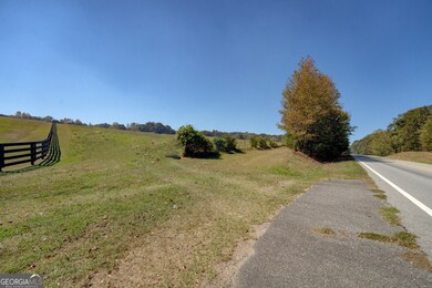 0 Georgia 142 unit B-2 (S-1), Shady Dale, GA 31085 - photo 4