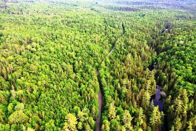 DJI_0338