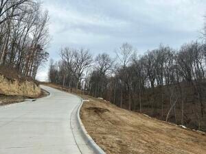 244 Boone Point Subdivision, Boonville, MO 65233 - photo 4