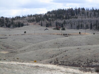 1202 Superstition Trail, Hartsel, CO 80449 - photo 3