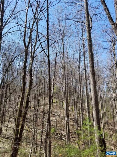 0 High Rd unit 615449, Stanardsville, VA 22973 - photo 5