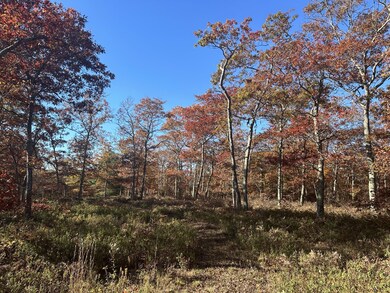 0 Bridle Path Rd, Vineyard Haven, MA 02568 - photo 3