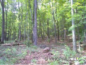 Potential home site