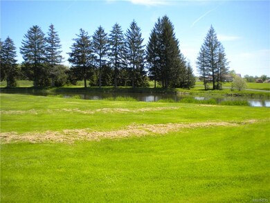 Pond