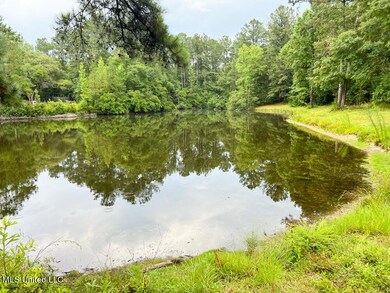 2188 Salem Campground Rd, Lucedale, MS 39452 - photo 2