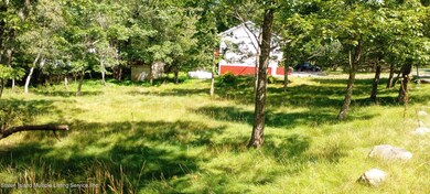 127 Yellow Birch Ln, Locust Lake, PA 18347 - photo 7