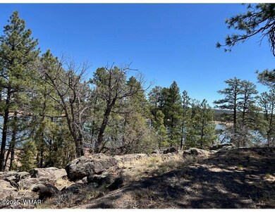0 Show Low Lake Rd, Show Low, AZ 85901 - photo 5