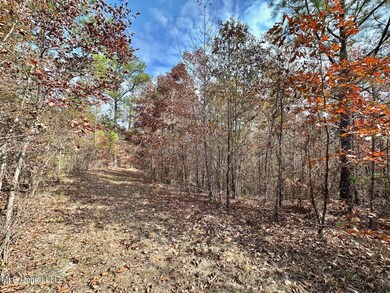 4 County Road 3122, McCool, MS 39108 - photo 2