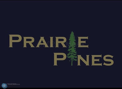 208 Pine Dr, Hankinson, ND 58041 - photo 3