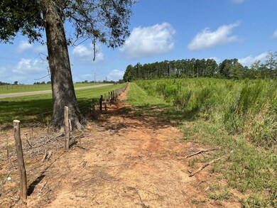 76.68 ac Fm 343, Nacogdoches, TX 75964 - photo 5