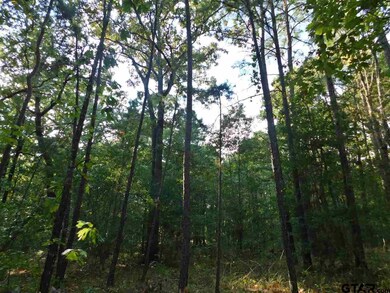 14670 Jade Forest Trail, Tyler, TX 75707 - photo 7