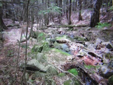 178 Overlook Dr, Hunter, NY 12442 - photo 6