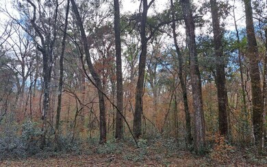 TBD Bumble St, Fort White, FL 32038 - photo 4