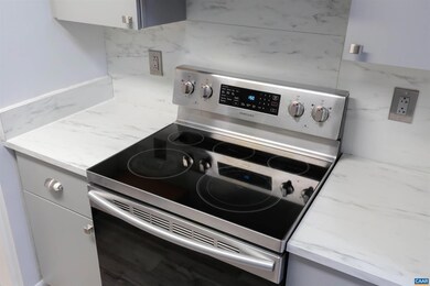 127 Turtle Creek Rd unit 3, Charlottesville, VA 22901 - photo 5