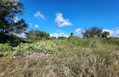 17707 NW 274th St, Okeechobee, FL 34972 - photo 7