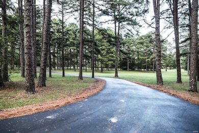 756 Cr 420, Poplar Bluff, MO 63901 - photo 4