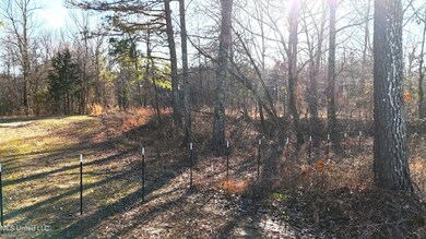 DJI_20240213154241_0042_D