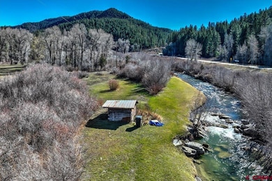 11044 Highway 84, Pagosa Springs, CO 81147 - photo 4