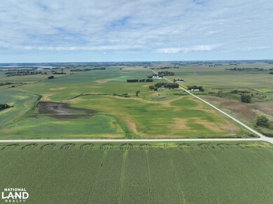 0 SW Corner 330th St 830th Ave, Ellendale, MN 56026 - photo 5