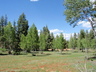 3170 N Empty Saddle Rd unit Aspen Pines Lot 3, Duck Creek Village, UT 84762 - photo 4