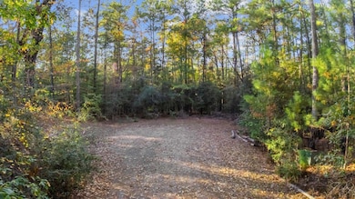 168 Delea Ln, Brookeland, TX 75931 - photo 2