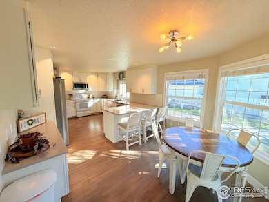 1460 Hawkridge Rd, Eaton, CO 80615 - photo 4