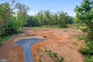 -0- Swartz Rd unit 3.2 & 3.9 ACRES, Woodstock, VA - photo 3