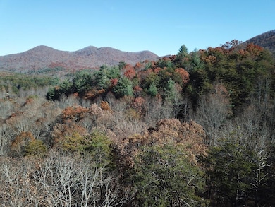 Potential View Front