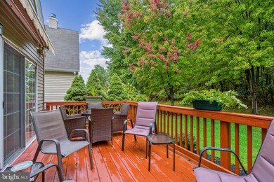 117 Tunicflower Ln, Princeton Junction, NJ 08550 - photo 6