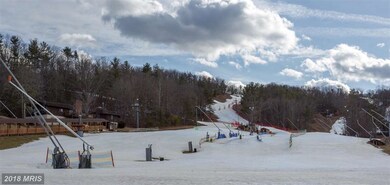 368 Sandpiper Dr, Basye, VA 22810 - photo 5