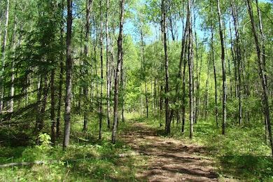 0 Burrows Lake Rd, Little Rice, WI 54487 - photo 2