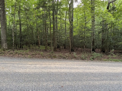TBD Lonesome Pine Trail, Lancaster, VA 22503 - photo 2