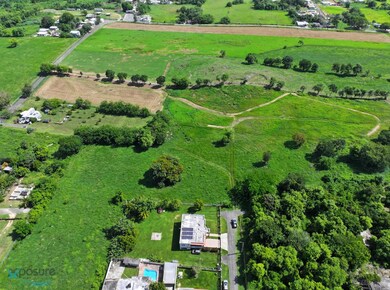 0 Calle de La Cruz, Camuy, PR 00627 - photo 4