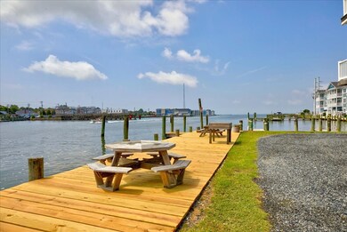 6163 Marsh Island Dr, Chincoteague Island, VA 23336 - photo 6
