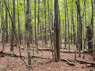 0 Lamb Rd unit 24477803, Moreland, GA 30259 - photo 6