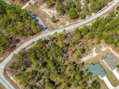 10725 N Moreno Dr, Citrus Springs, FL 34433 - photo 6