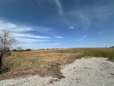 53 Walnut Grove Rd, Carlisle, KY 40311 - photo 3