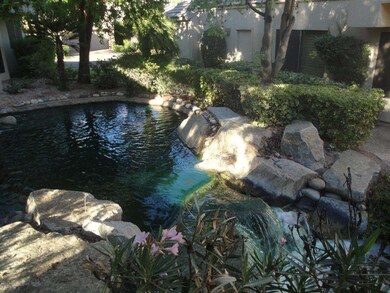 LAGOON