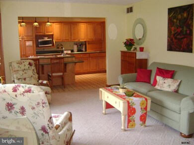 11 Hill Dr unit 882, East Berlin, PA 17316 - photo 7