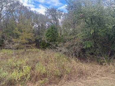 1531 White Bluff Dr, Whitney, TX 76692 - photo 5