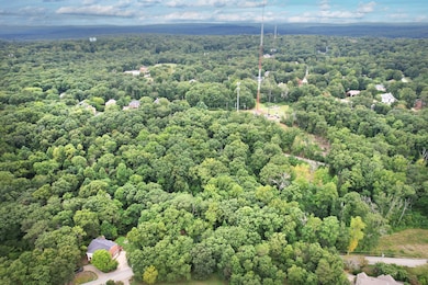 2-web-or-mls-DJI_0384